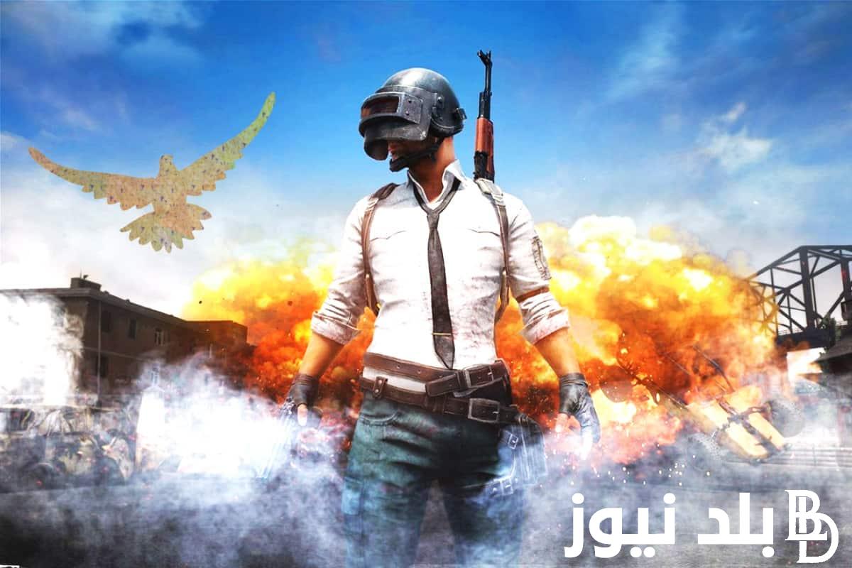 مجانا وبدون إي رسوم تنزيل.. شدات ببجي uc مجانا 2024 بطريقة سهلة وبسيطة وما هي مميزات لعبة ببجي