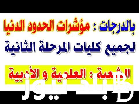 “كلية اداب من كام؟.. تنسيق المرحلة الثانية للثانويه العامة 2024 أدبي | وجميع الكليات المتاحة في المحافظات
