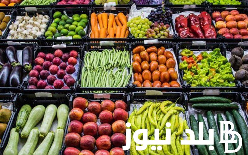 “البطاطس أغلى من المانجا” جدول أسعار الخضار اليوم الاثنين 19 – 8 – 2024 وأسعار الفاكهة وفق أسعار سوق العبور