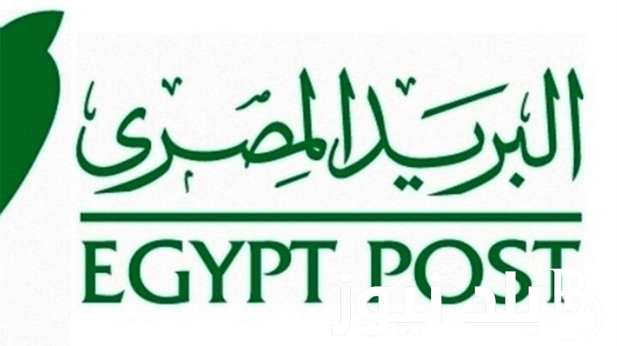 ادخل “jobs.caoa.gov” .. رابط الحصول على نتيجة مسابقة البريد المصري 2024 بوابة الوظائف الحكومية اسماء الفائزين بالرقم القوميي
