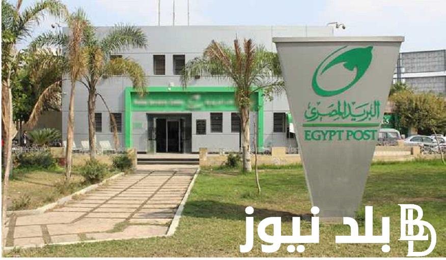 الجهاز المركزي .. رابط نتيجة مسابقة البريد المصري 2024 بالرقم القومي “jobs.caoa.gov.eg” بوابة الوظائف الحكومية اسماء المقبولين