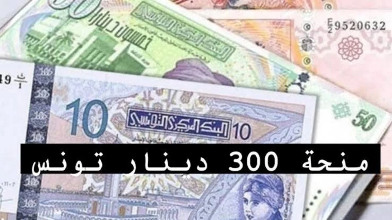 آخر تحديث لمنحة تونس 300 دينار.. وما هى خطوات التسجيل فى منحة تونس 300 دينار 2024