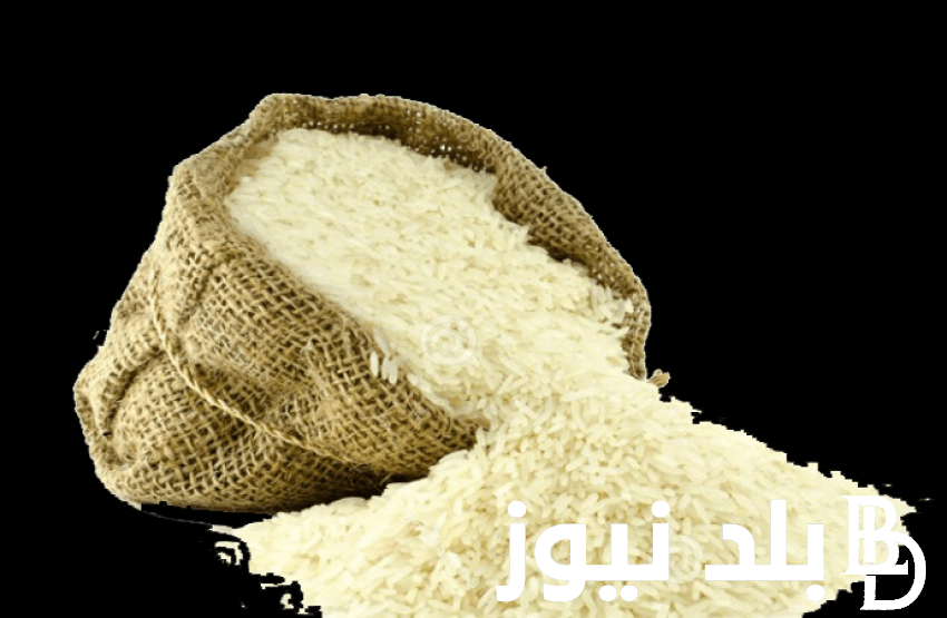 “رفيع وعريض الحبة” سعر الأرز الشعير اليوم الخميس 15 أغسطس 2024 للمستهلك بالأسواق المحلية