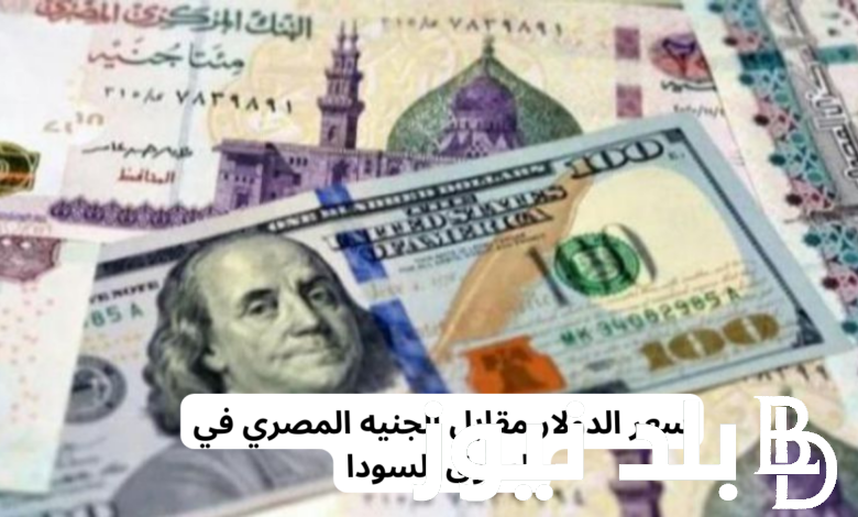 وصل لكام سعر الدولار اليوم؟.. سعر الدولار مقابل الجنيه المصري في السوق السوداء و البنوك الاحد 25 أغسطس 2024
