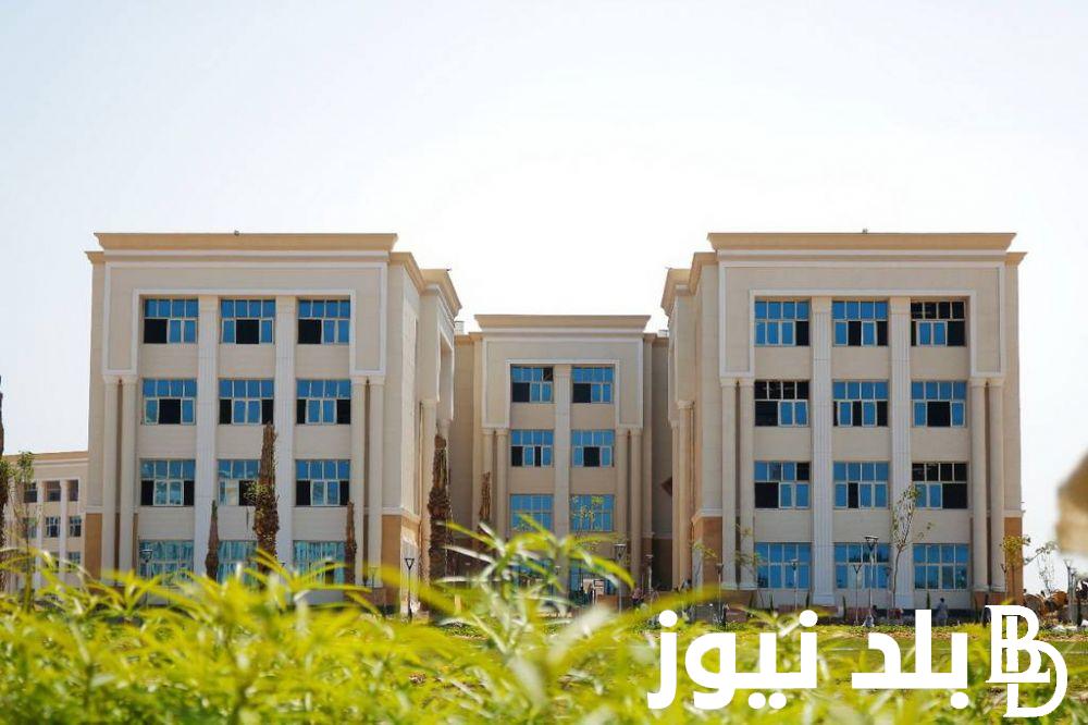 “إعرف هتدخل كُليتك بكام” .. مصاريف جامعة المنصورة الجديدة 2025 | ومؤشرات التنسيق في العام الجديد الطب بـ 130 ألف