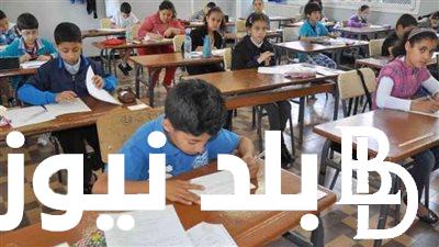 الوزارة تؤكد.. موعد الدخول الجامعي 2025 في العراق وجدول عطلات السنه الجديدة