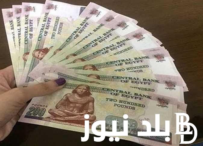 “هتقبض بزيادة” موعد صرف معاشات شهر سبتمبر 2024 عبر nosi.gov.eg واماكن صرف معاشات