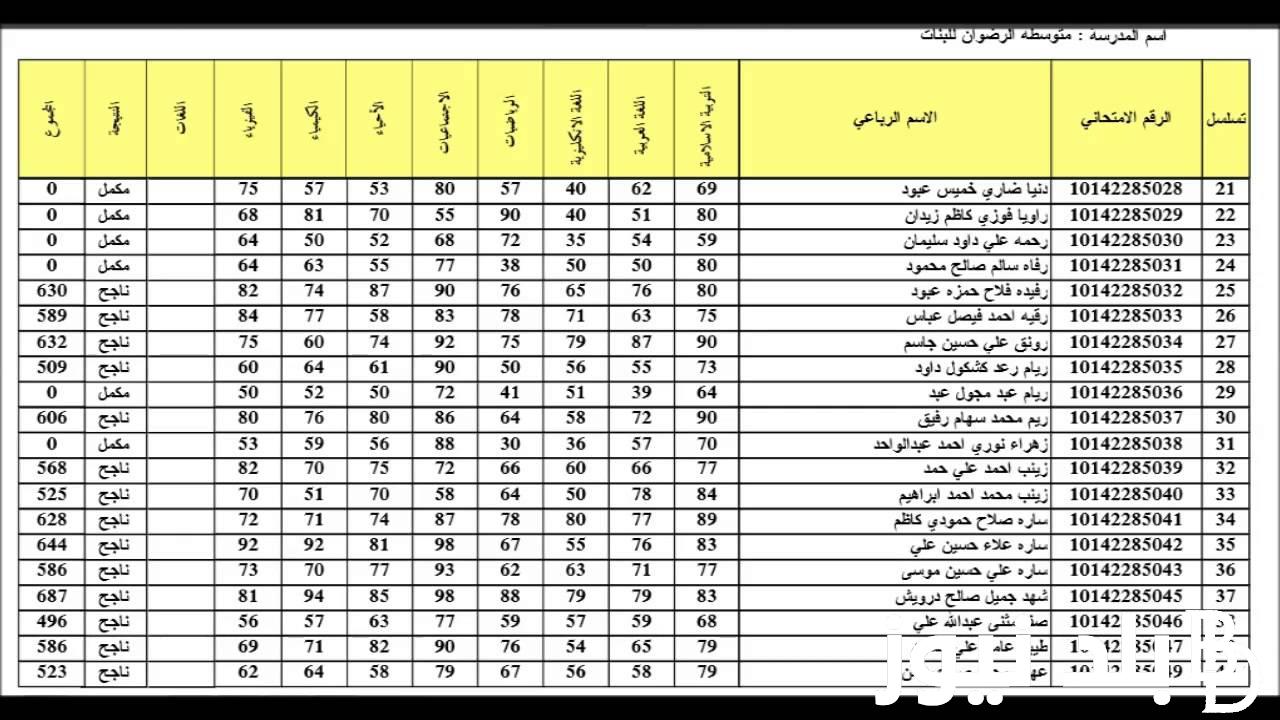 “DIRECT LINK” رابط نتائج السادس الابتدائي 2024 دور ثاني بالاسم والرقم الامتحاني عبر موقع وزارة التربية العراقية epedu.gov.iq