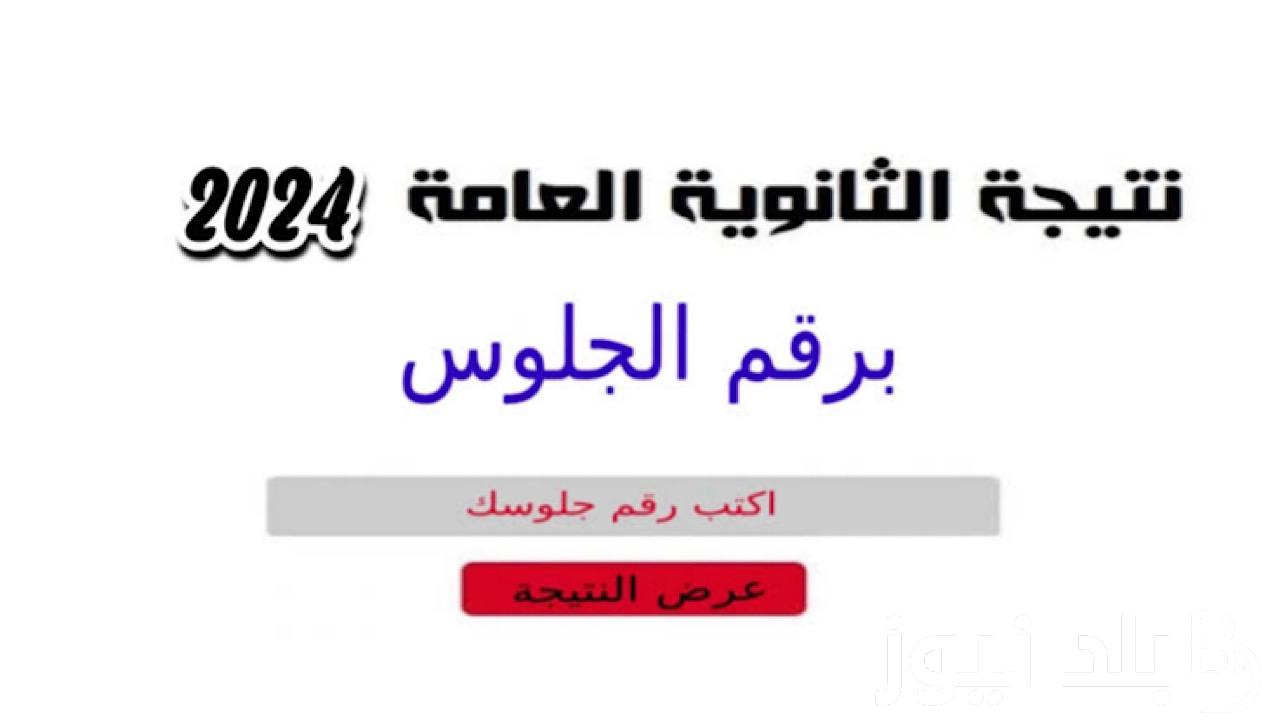 وزارة التربية والتعليم توضح: رابط مباشر نتيجة الثانوية العامة 2024 وخطوات الاستعلامعنها