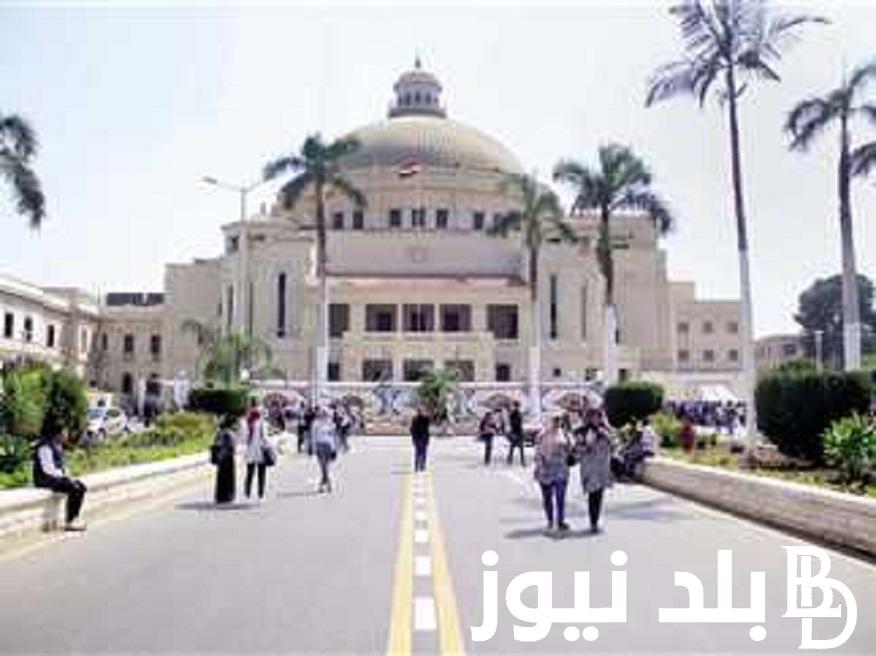 اعرف دخلت كلية اية “tansik.digital”.. نتيجة تنسيق المرحلة الأولى 2024 وخطوات الحصول عليها موقع التنسيق الالكتروني