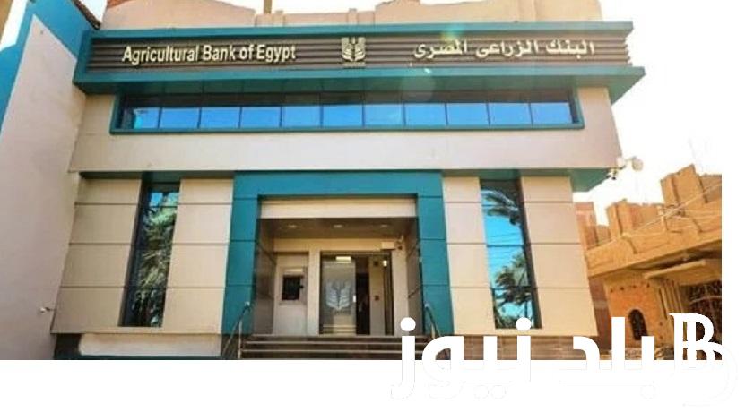 الحق قدم “abe.com.eg” .. موعد ورابط تقديم تدريب البنك الزراعي المصري 2024 والشروط المطلوبة