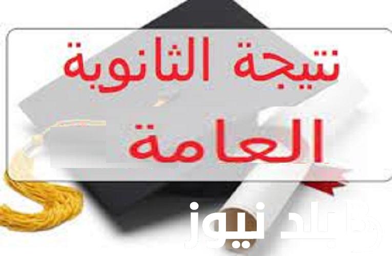نتيجة نت برقم الجلوس .. موقع استعلام نتيجة الثانوية العامة 2024 الدور الاول من وزارة التربية والتعليم moe.gov.eg