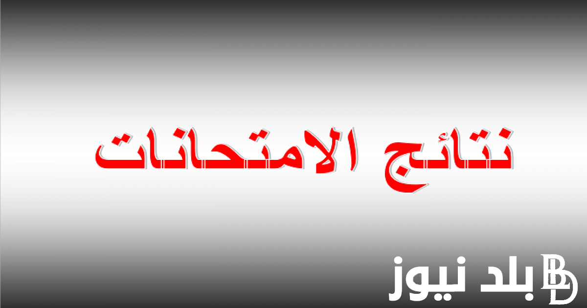 “برابط فعال” نتائج الثانوية العامة اليمن صنعاء 2024 برقم الجلوس ورابط استخراج النتائج عبر moe-ye.net