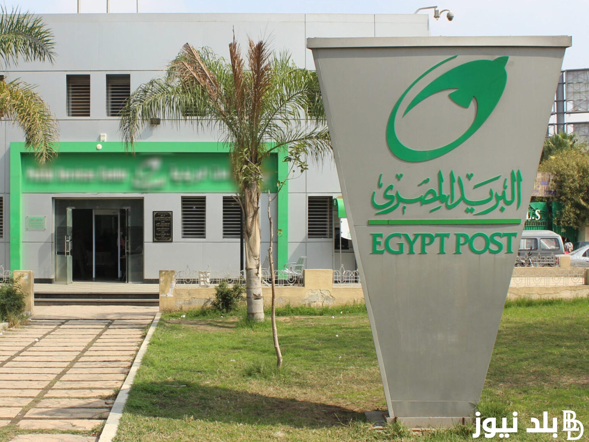 ادخل رقمك القومي .. رابط الاستعلام عن نتيجة مسابقة البريد المصري 2024 موقع بوابة الوظائف الحكومية