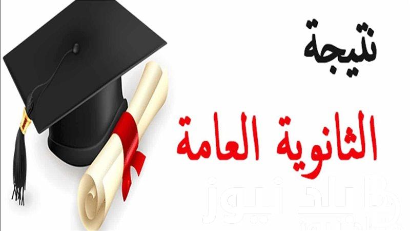 رابط شغال للاستعلام عن نتيجة الثانوية العامة 2024 دور اول من موقع وزارة التربية بنسبة نجاح 81%