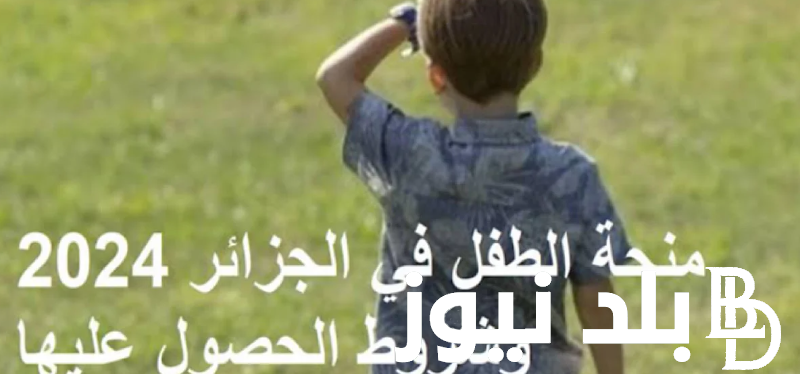 خطوات التسجيل في منحة الطفل الجزائر 2024 من خلال موقع وزاره العمل الجزائري الالكتروني