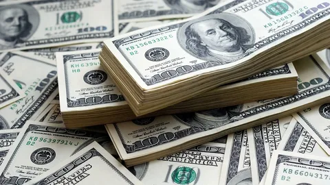 سعر الدولار اليوم مقابل الجنيه المصري الاحد 8 سبتمبر 2024 في السوق السوداء والبنوك المصرية