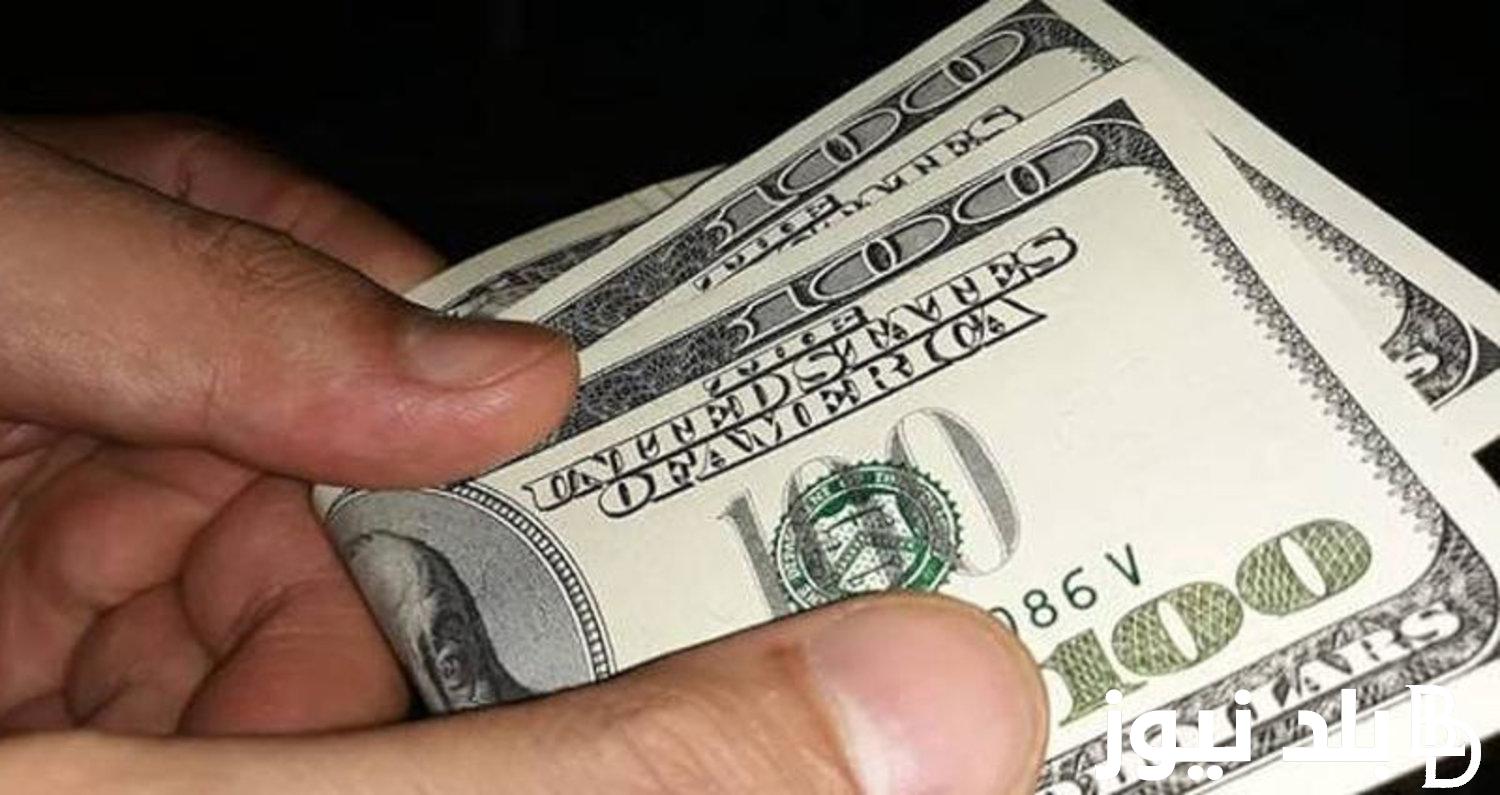 “الأخضر مستقر” سعر الدولار اليوم الأحد 9 سبتمبر 2024 في البنك المركزي والسوق الموازية