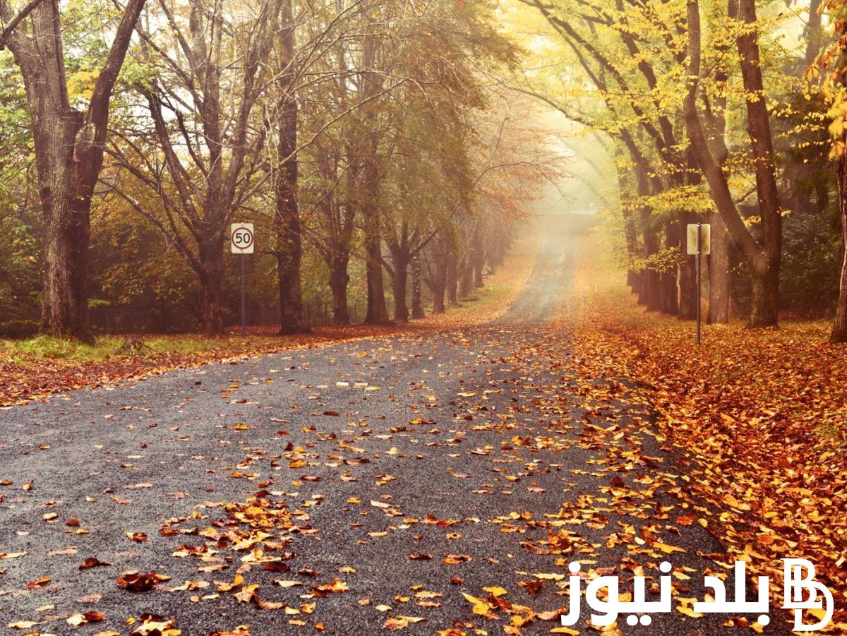 رسـمـيًا هيئة الأرصاد الجوية تُعلن عن موعد فصل الخريف 2024 في مصر