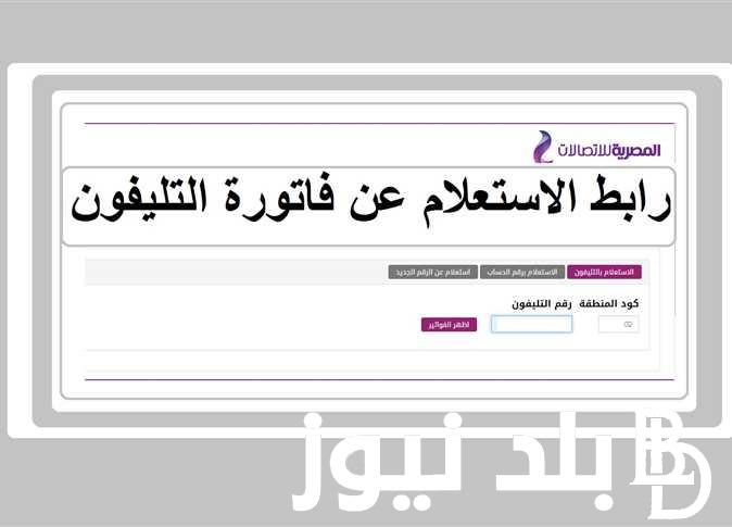 الاستعلام عن فاتورة التليفون الأرضي من خلال موقع الشركة المصرية للاتصالات عبر الرابط billing.te.eg
