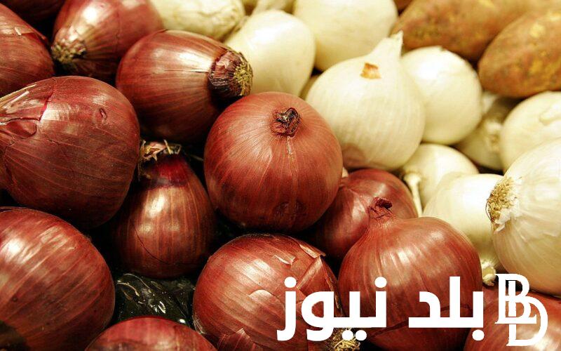 سعر البصل اليوم في مصر 2024 | أسعار الخضروات في سوق العبور اليوم الاحد 8/9/2024 بسوق العبور