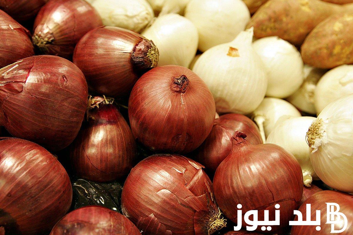 سعر البصل اليوم في مصر| أسعار الخضار اليوم بالكيلو والفاكهة الثلاثاء 3 سبتمبر 2024 بسوق العبور