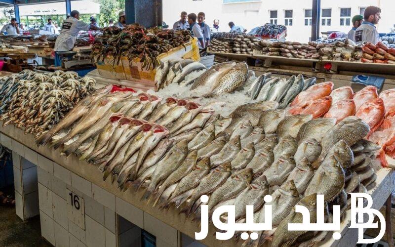 أسعار السمك اليوم السبت 7 سبتمبر 2024 بجميع أنواعه في كافة الأسواق للمستهلكين والتجار
