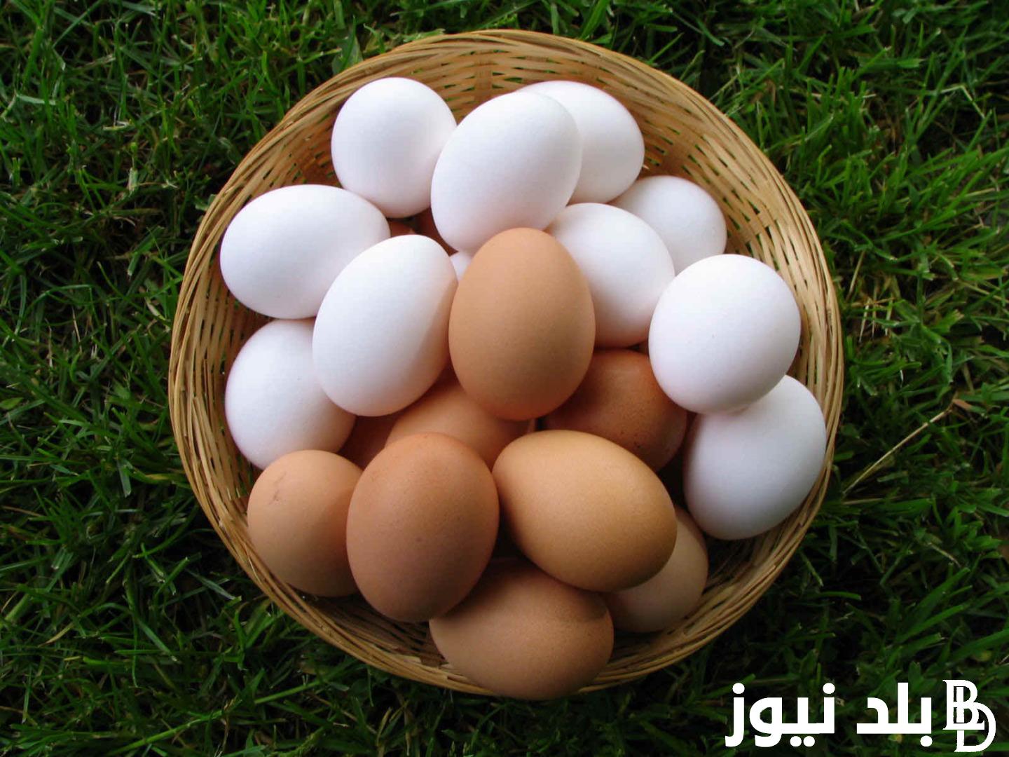 “البيضة بكام” سعر طبق البيض اليوم الثلاثاء 3 سبتمبر 2024 في مصر بجميع المحلات والأسواق