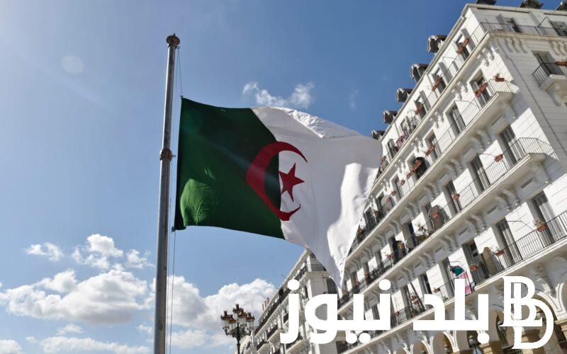 شروط منحة المرأة الماكثة في المنزل 2024 والتسجيل في المنحة عبر موقع الوكالة الوطنية للتشغيل