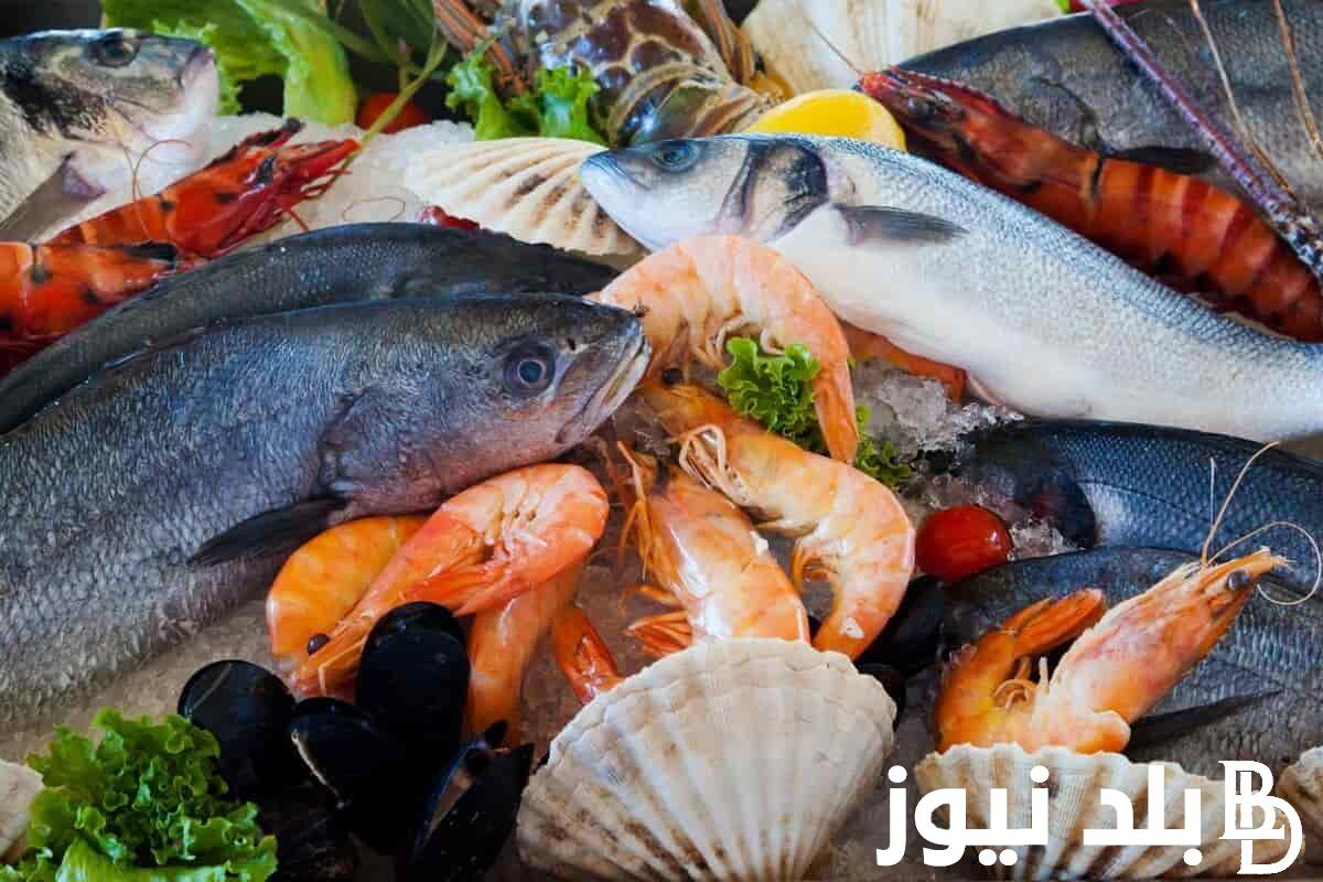 اسعار السمك اليوم الخميس 12 سبتمبر 2024 في سوق العبور.. «اعرف البلطي بكام»