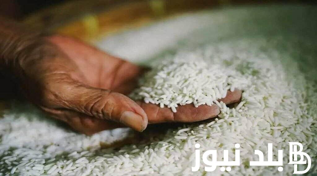 “رفيع و عريض” .. سعر طن الأرز الشعير اليوم الأربعاء الموافق 18 سبتمبر 2024 وفقاً لأخر سعر له