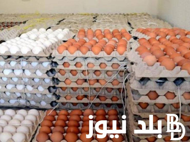 سعر البيض اليوم في مصر الإثنين 9 سبتمبر 2024 للتجار والمستهلكين في الأسواق المصرية