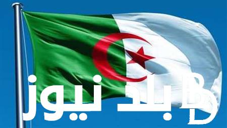 كيفية التقديم على منحة الطفل بالجزائر 2024 .. وأهم شروط التقديم على المنحة من خلال وزارة التضامن الوطني الجزائرية