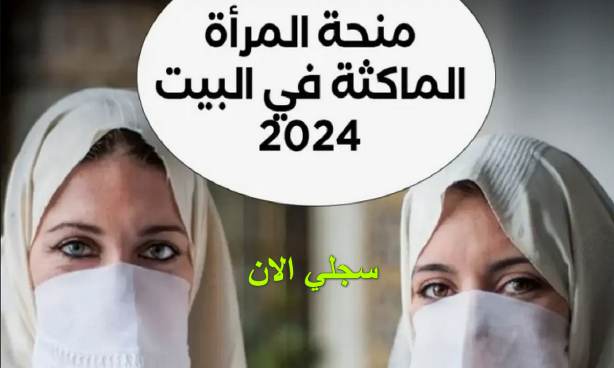الوكالة الوطنية للتشغيل منحة المرأة الماكثة في البيت عبر رابط bawabatic.dz وشروط الحصول على المنحة