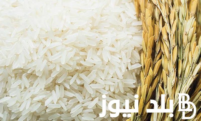 سعر الارز الشعير اليوم الأحد 1/9/2024 عريض ورفيع الحبة وسعر البقوليات في السوق المصري
