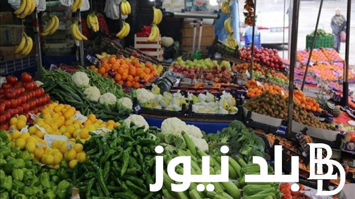 تحديث لحظى.. أسعار الخضروات اليوم في سوق العبور 5 سبتمبر 2024 وأسعار الفواكه بجميع أنواعها