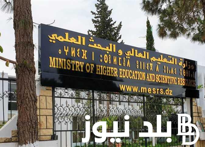 إليكم تفاصيل تنسيق المرحلة الثالثة ادبي لعام 2024 .. الكليات المتاحة للشعبة الأدبية المرحلة الثالثة