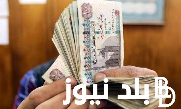 اعرف موعد صرف .. معاشات المتعاقدين في العراق لشهر سبتمبر وما هي خطوات الاستعلام عن المعاشات من خلال الرابط الرسمي