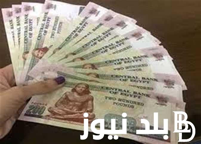 وفقا للهيئة القومية للتأمين الاجتماعي .. الزيادة في معاشات أكتوبر 2024 وطريقة الاستعلام عن زيادة المعاشات عبر الرابط nosi.gov.eg