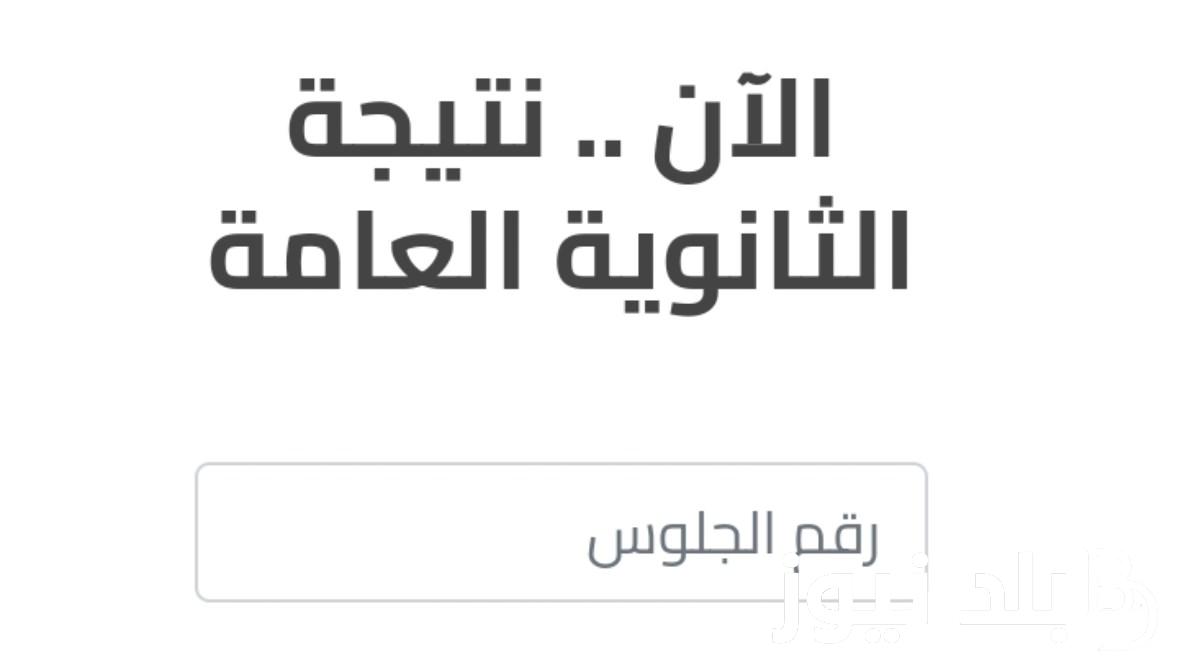 استعلم الآن.. نتيجه الثانويه العامه الدور الثاني 2024 وموعد تنسيق المرحلة الثالثة والكليات المتاحة