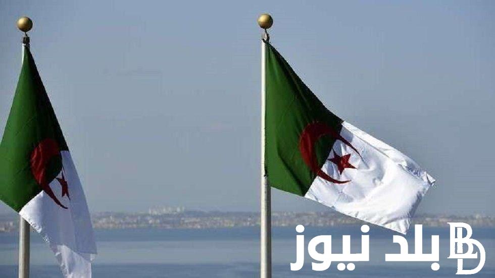 تفاصيل منحة المرأة الماكثة بالبيت في الجزائر .. وأبرز خطوات التسجيل في منحة المرأة الماكثة بالبيت لعام 2024
