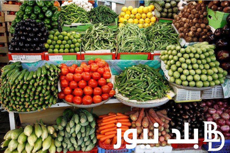 وداعا طبق السلطة .. اسعار الطماطم اليوم الاثنين 9 سبتمبر 2024 بعد ارتفاعها الكبير واسعار جميع انواع الخضراوات داخل سوق العبور