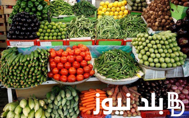 أسعار الخضروات في سوق العبور اليوم الاربعاء 4 سبتمبر 2024 للمستهلك في مصر