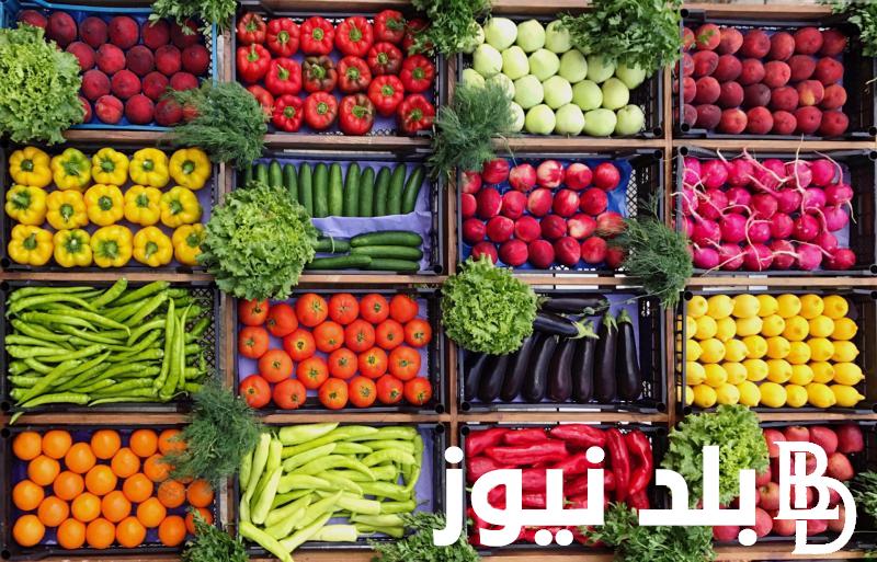 سعر الفاكهة اليوم في سوق العبور الأحد 1/9/2024 وسعر الخضار في السوق المصري
