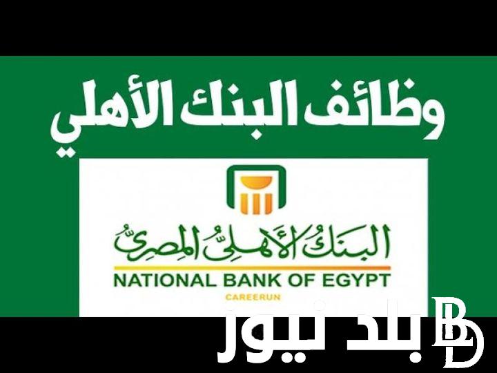 كيفية التقديم على وظائف البنك الأهلي لحديثي التخرج عبر رابط alahlynet.com الموقع الإلكتروني وماهي شروط التقديم ؟