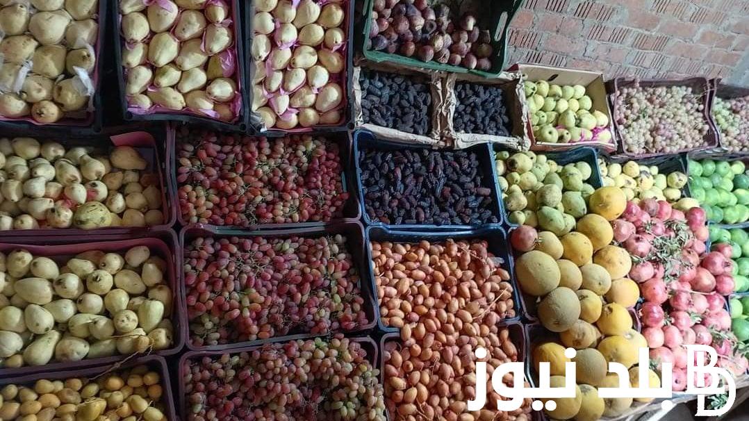 “جميع الانواع” اسعار الفاكهه اليوم في سوق العبور الاثنين 2 سبتمبر 2024 للمستهلك في مصر