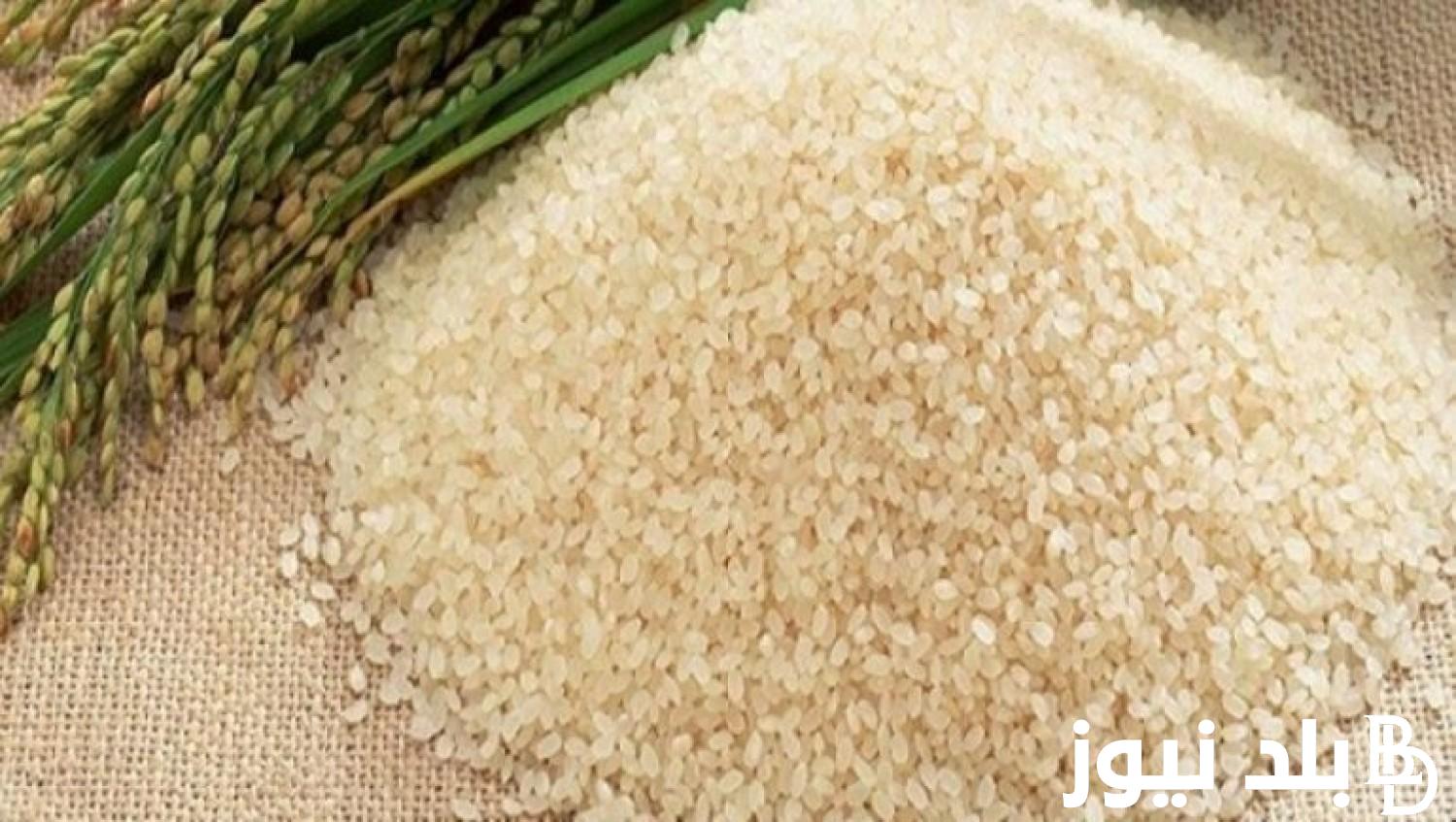 سعر طن الأرز الشعير اليوم الاثنين 30 سبتمبر 2024 رفيع وعريض الحبة في الاسواق المحلية