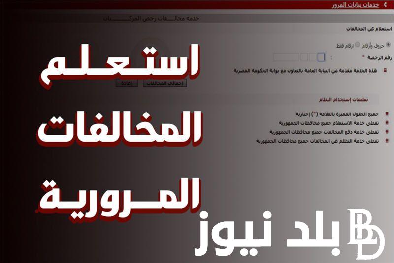 “استعلم بنفسك”.. رابط استعلام عن مخالفات المرور مجانًا بالرقم القومي عبر traffic.moi.gov.eg