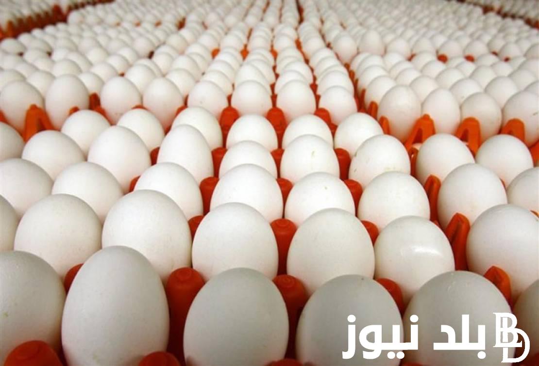 “بلدي، احمر، ابيض” سعر كرتونة البيض اليوم الاثنين 2 سبتمبر 2024 في البورصة والمحلات التجارية.. كم سعر 30 بيضه؟