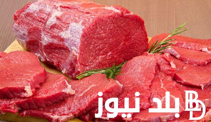 سعر كيلو اللحم البقري قائم اليوم الاثنين الموافق 2024/9/23 للمستهلك في محلات الجزارة
